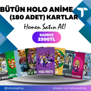 Bütün Holo Anime Kartlar